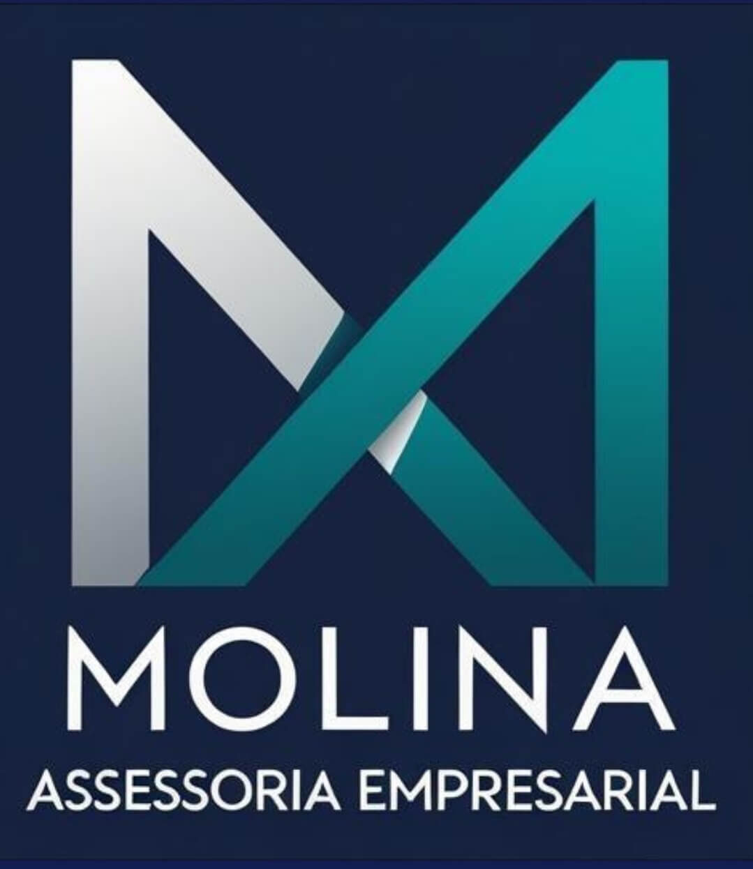 Molina Assessoria Empresarial